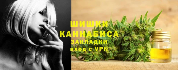 эйфоретик Гусь-Хрустальный