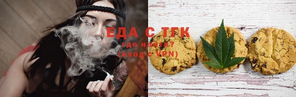 эйфоретик Гусь-Хрустальный