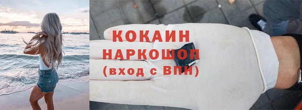 эйфоретик Гусь-Хрустальный