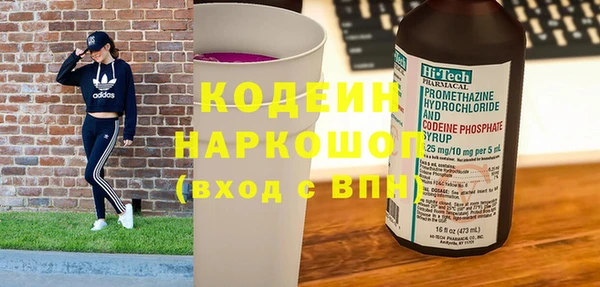 эйфоретик Гусь-Хрустальный
