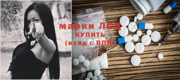 эйфоретик Гусь-Хрустальный