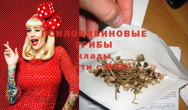 гашишное масло Гусиноозёрск