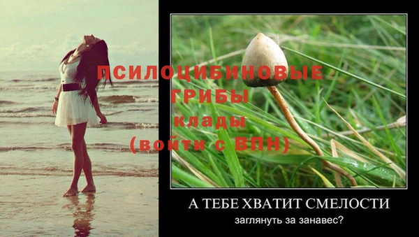 герыч Валдай