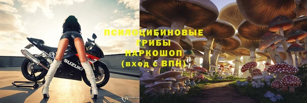 винт Горнозаводск
