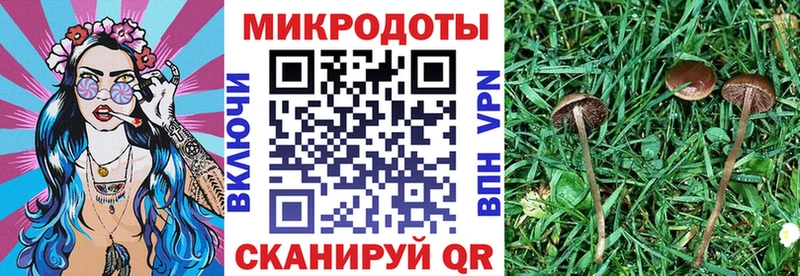 Галлюциногенные грибы ЛСД  Дивногорск 